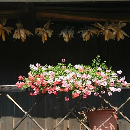 Reiterbauernhof Schoenlehenhof Mank