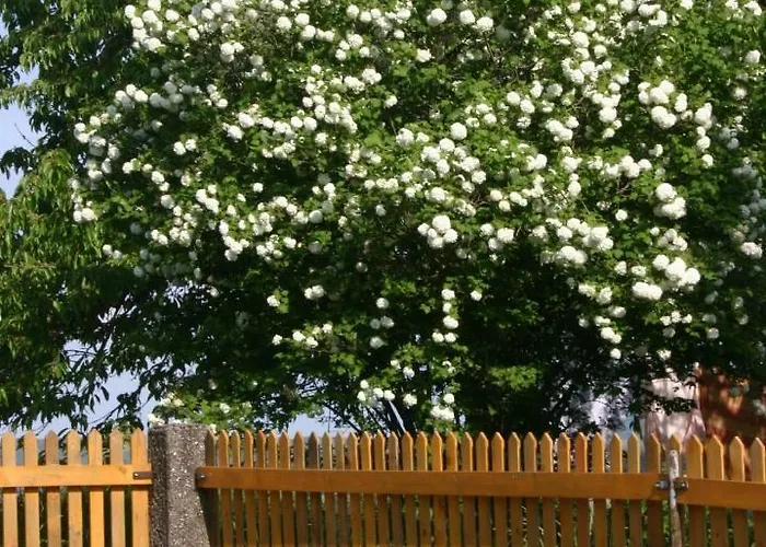 Feriegård Reiterbauernhof Schoenlehenhof