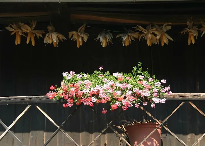 Reiterbauernhof Schoenlehenhof Mank