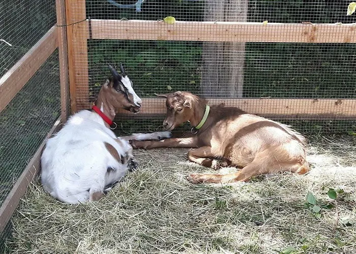 Reiterbauernhof Schoenlehenhof