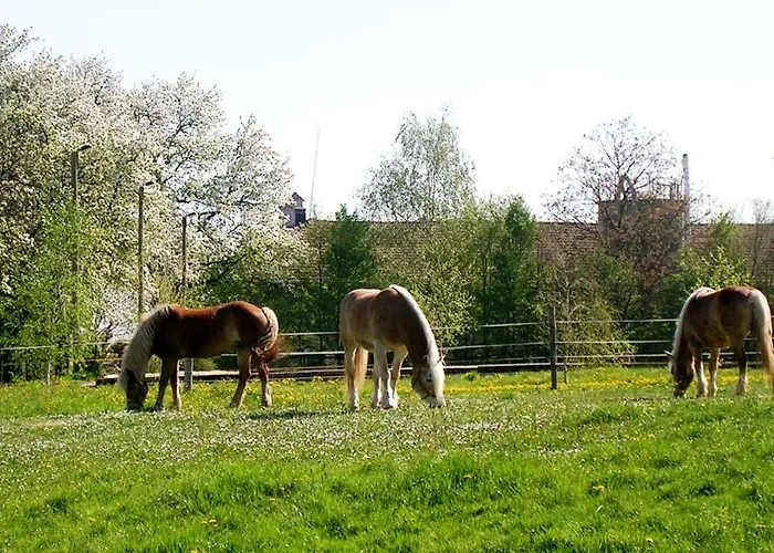 Reiterbauernhof Schoenlehenhof * Mank